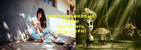 PSILOCYBIN Абинск