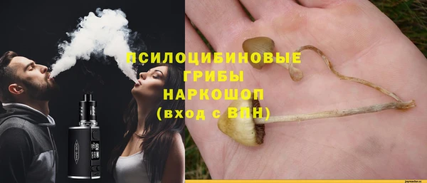 apvp Алзамай