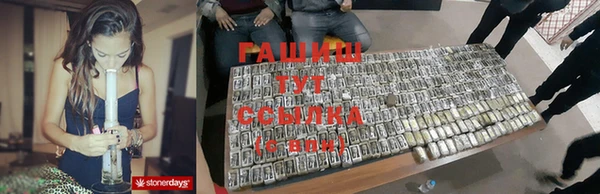 apvp Алзамай