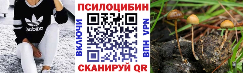 как найти закладки  Сургут  Галлюциногенные грибы Psilocybine cubensis 